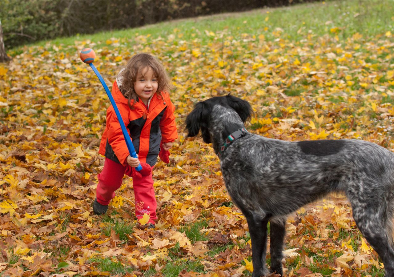Tips to give your pet a happy, healthy fall