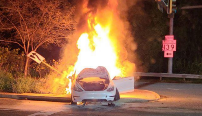 Ai kills another human : Tesla Model 3 veered off the road, collided with a tree, and burst into flames